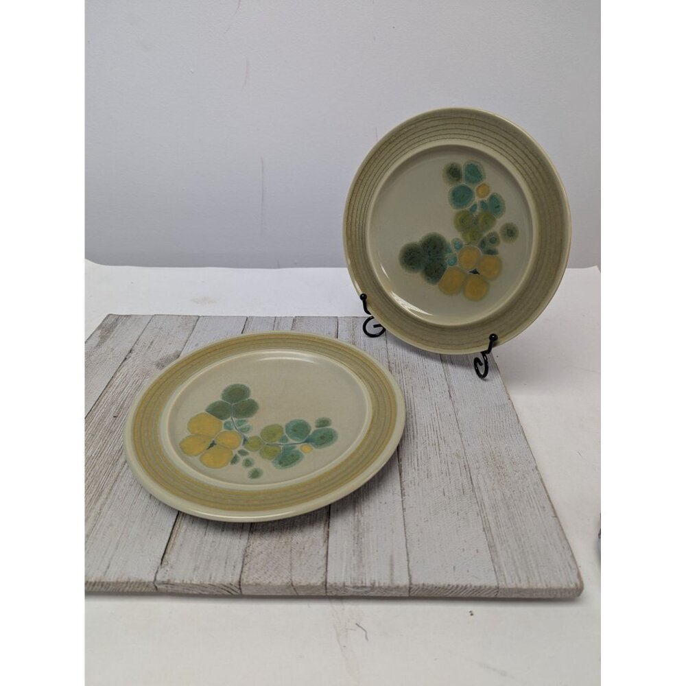 Vintage Set of 2 Franciscan Earthenware Pebble Beach 8 1/4" Salad Plates